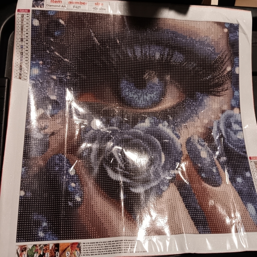 Blue Eye and Rose Diamond Art Painting Kit 40x40